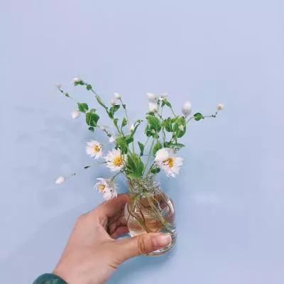 永乐国际手机app下载截图